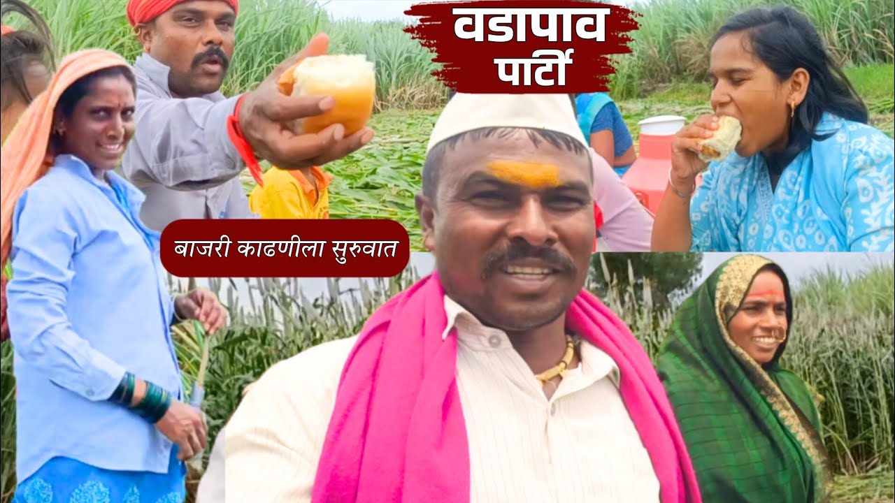 वावरात वडापाव पार्टी 😍 बाजरी काढणीला सुरुवात केली 🥰 banai | sidu hake | dhangari jivan