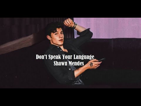 Shawn Mendes - Patience (tradução) 