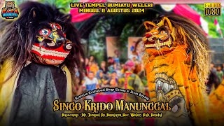 Barongan Singo Krido Manunggal Live Tempel Bumiayu Weleri 11/8/2024 Terbaru