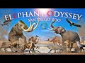 Zoo Tours Ep. 77: The Elephant Odyssey at the San Diego Zoo (2009)