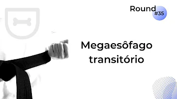 O que é padrão acinar?
