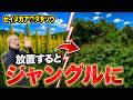 【放置厳禁】セイダカアワダチソウ駆除