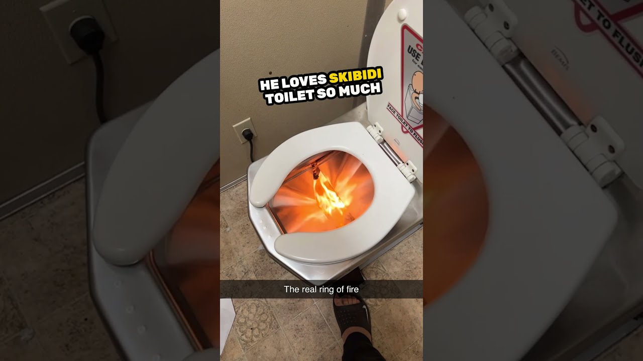 Bro Built An Incredible Skibidi Toilet In His Bathroom 