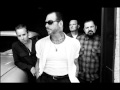 Social distortion  angels wings