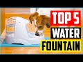 Top 5 Best Dog Water Fountain in 2022 Reviews