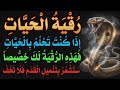 والله هذه رقية تقضي على الشيطانه الحيه الحاسده الساحره العاشقه التي عطلت كل شيء بحياتك أخرجها الآن 