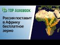 Россия поставит в Африку бесплатное зерно | TOP Agrobook: обзор аграрных новостей