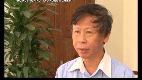 VITV - Tiêu điểm kinh tế 15/11/2014 Thu hút vốn đi vào nông nghiệp