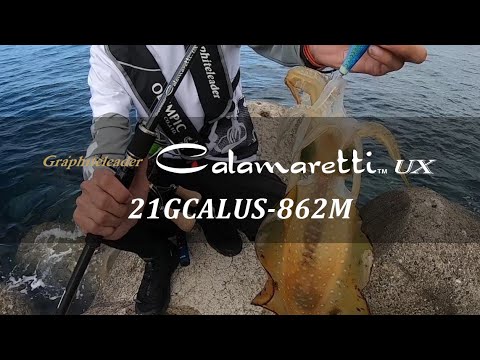ゴンサクさん専用 カラマレッティー Calamaretti エギングロッド ゴンサクさん専用 カラマレッティー Calamaretti エギングロッド