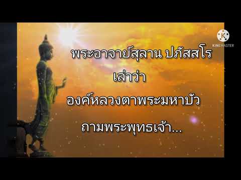 วีดีโอ: วิธีการสอนสุนัขให้นั่งสบาย ๆ ในลิฟท์