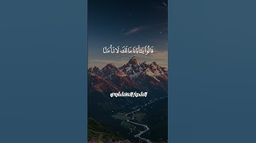 قصة يوسف بصوت المنشاوي.. تلاوة مؤثرة جدا 🕊️✨