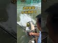 🔥 Giant Carp Goes CRAZY! Biggest Fishing Catch Ever? 🐟💦