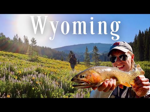 Hunting Trophy Native Cutthroat | Cross country road trip | Fly Fishing Wyoming