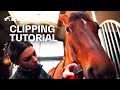 How to clip your Horse? Tutorial w/ Niki Baxter | Guest Vlog