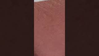 청와대180차,살인마 경찰청 125차 1인시위 진격위해 5시40분경 현관문 열고나와서 엘리베이터 로비 도착하자 조직스토킹 살인범죄 지령받은 미친여자 10층에서 대기하다가 내가 있는 청와대180차,살인마 경찰청 125차 1인시위 진격위해 5시40분경 현관문 열고나와서 엘리베이터 로비 도착하자 조직스토킹 살인범죄 지령받은 미친여자 10층에서 대기하다가 내가 있는