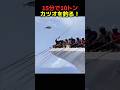 15分で10tの魚を釣る!