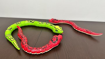 Terra RC Snake Rainbow BOA Toys Unboxing 