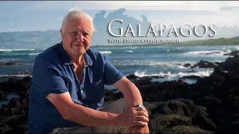 Galápagos with David Attenborough | Origin