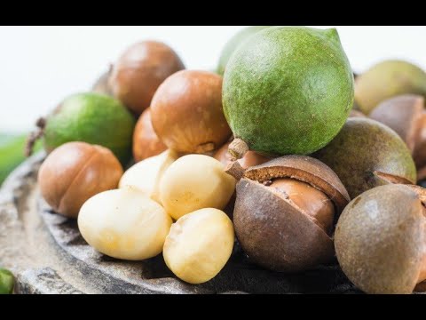 Video: Kwa Nini Karanga Za Macadamia Ni Nzuri Kwako