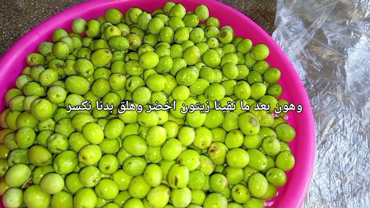 موسم الزيتون موسم الخير والبركة وعملت برغل عاكوسا تابعو للأخير ولاتنسو اشتراك 🥰