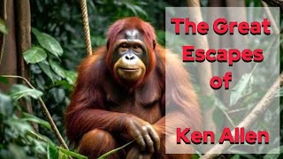 The Great Escape | ken Allen ecapes from San Diego Zoo | Animal escaping zoo | Organutan escapes