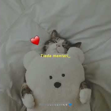 STORY WA MAHER ZEIN/FADLY PALING ENAK BUAT HATI YANG LAGI GALAU (INSHA ALLAH)