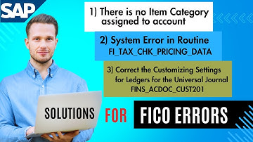 No Item Category Assigned to Account, Correct the Customizing Settings for Ledgers, Error Code 13