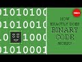 ⁣How exactly does binary code work? - José Américo N L F de Freitas