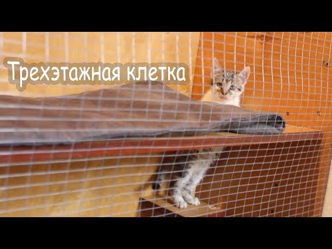 Как сделать клетку для кошки своими руками