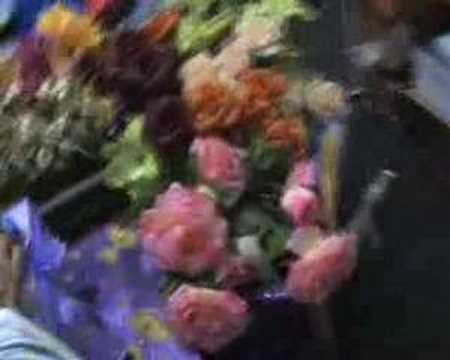 Tuala hantaran  Doovi