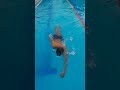 freestyle relaxed swimming with flip turn #youtube #shorts #swimming #trending #tejendergahlaut