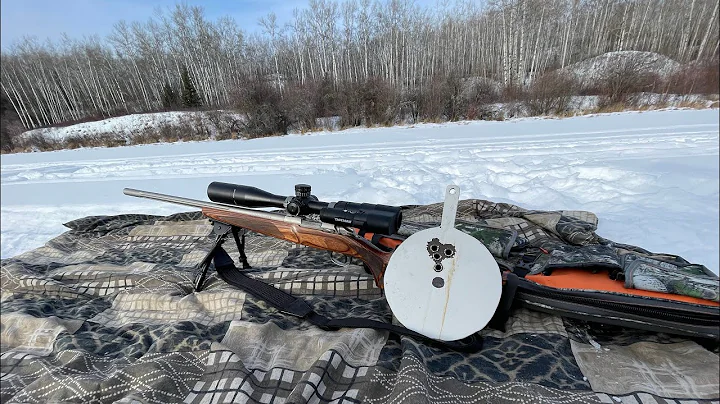 Sako 204 Ruger vs Steel and 500 Yard Fun