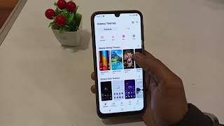 how to change themes in samsung galaxy F22