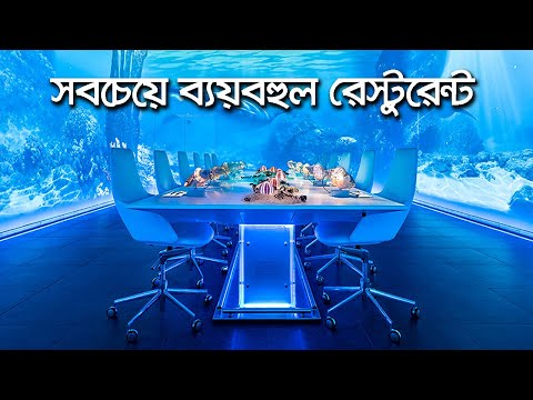 ভিডিও: বিশ্বের সবচেয়ে অভিনব হোটেল কোনটি?