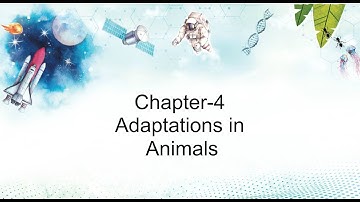 SCIENCE OUTLOOK 4 : Chapter 4 -Adaptations in Animals