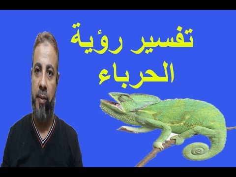 تفسير رؤية الحرباء في المنام اسماعيل الجعبيري