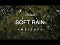10 Hour | Relaxing Rain Sounds at Night • Deep Sleep & Stress Relief