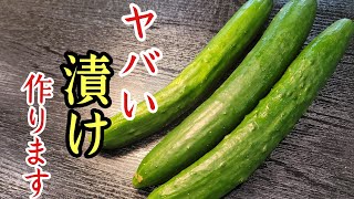 漬け物（塩にんにくきゅうり漬け）｜料理研究家リュウジのバズレシピさんのレシピ書き起こし