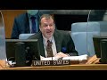 Remarks at a UN Security Council Briefing on Mali