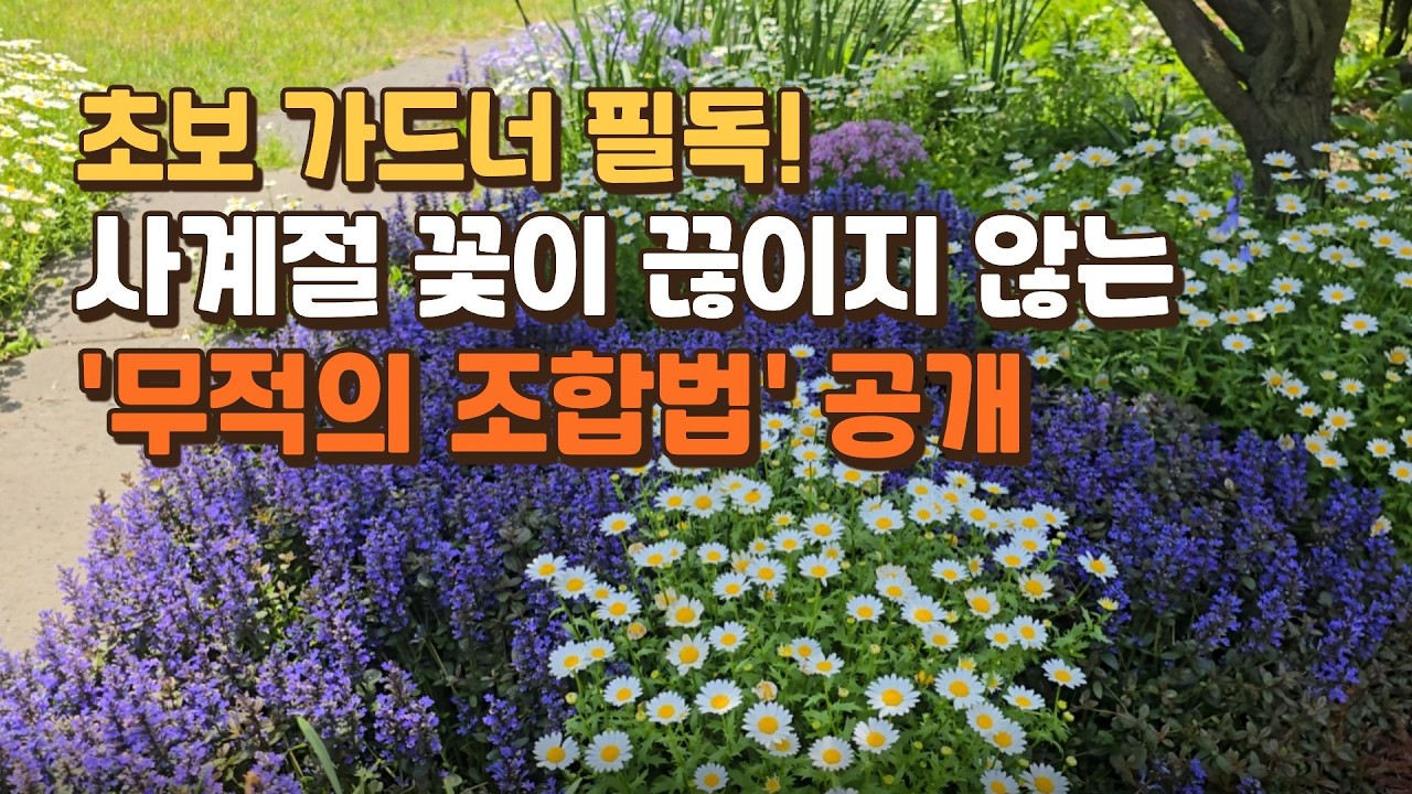 사계절 꽃이 끊이지 않는 '무적의 조합법'/ 다년생+일년생 완벽 가이드