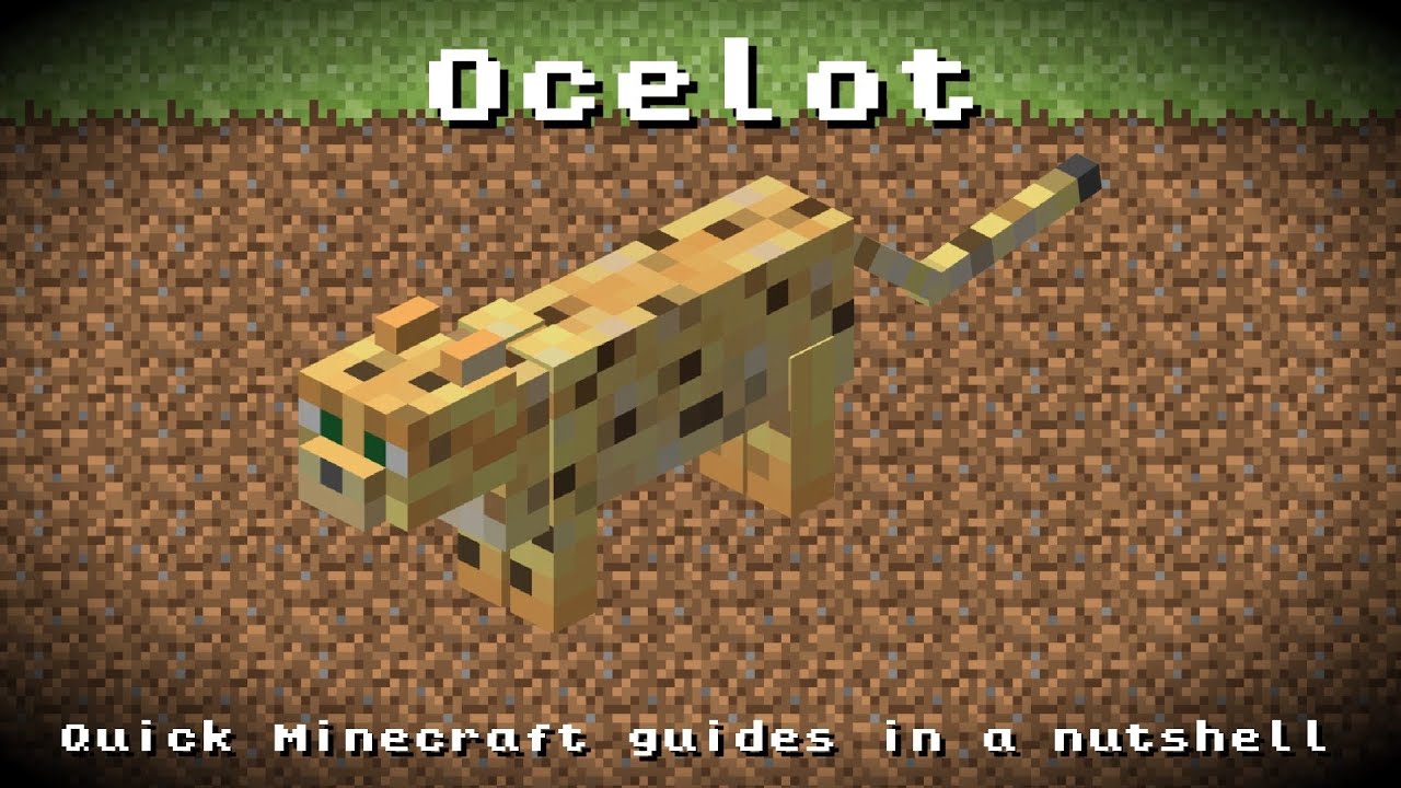 Minecraft - Ocelot - Cat! Taming, Breeding, Information! *Up to date!* - YouTube