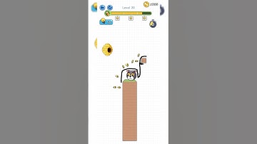 Save The doge Level 20