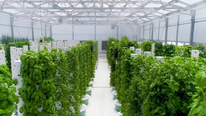 China's Most Advanced Indoor Vertical Farm Could Take Over The World