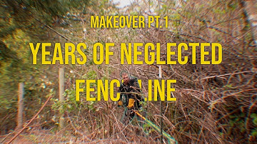 YEARS of neglected overgrown fence line Yard Makeover Part 1 (Oddly Satisfying)