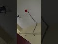 Emergency Alarm Activation 🚨 | Smoke detector MCP, Hooter &amp; Zone Panel Demo