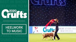 Heelwork To Music Competition - Part 3 | Crufts 2020