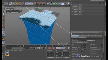 RealFlow | Cinema 4D 2.5: Preferences - Texture Sampling Resolution