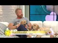 Hundcoachen: "Jag kommer inte att behålla Solo" - Nyhetsmorgon (TV4)