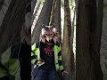 wait #therian #dothingsyoudontwanttodo #furry #anitzoo #alterhuman #fyp