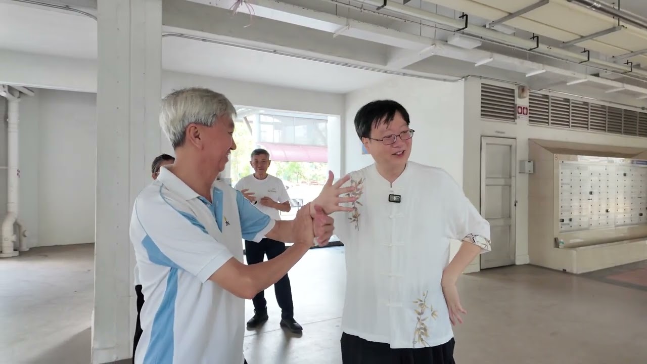 孫氏內家拳：基本功 - 懒扎衣（The Study of Lazily Tying Clothe）4